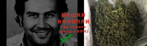 гидра Вяземский