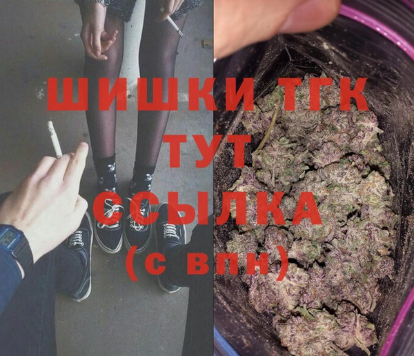 гидра Вяземский