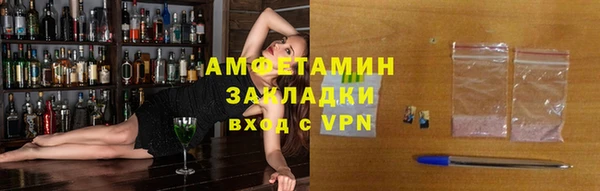 гидра Вяземский