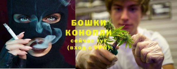 гидра Вяземский