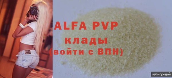 молекула духа Осташков