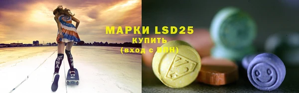 гидра Вяземский
