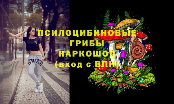 дживик Вязники