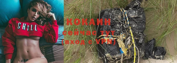 гидра Вяземский