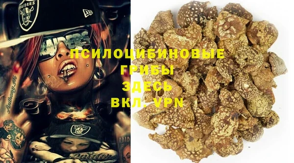 дживик Вязники
