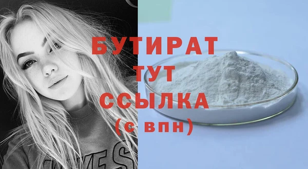 гидра Вяземский