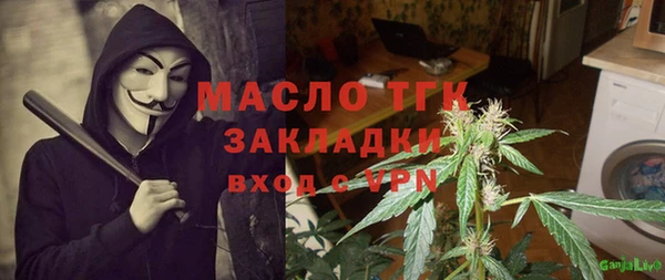 гидра Вяземский